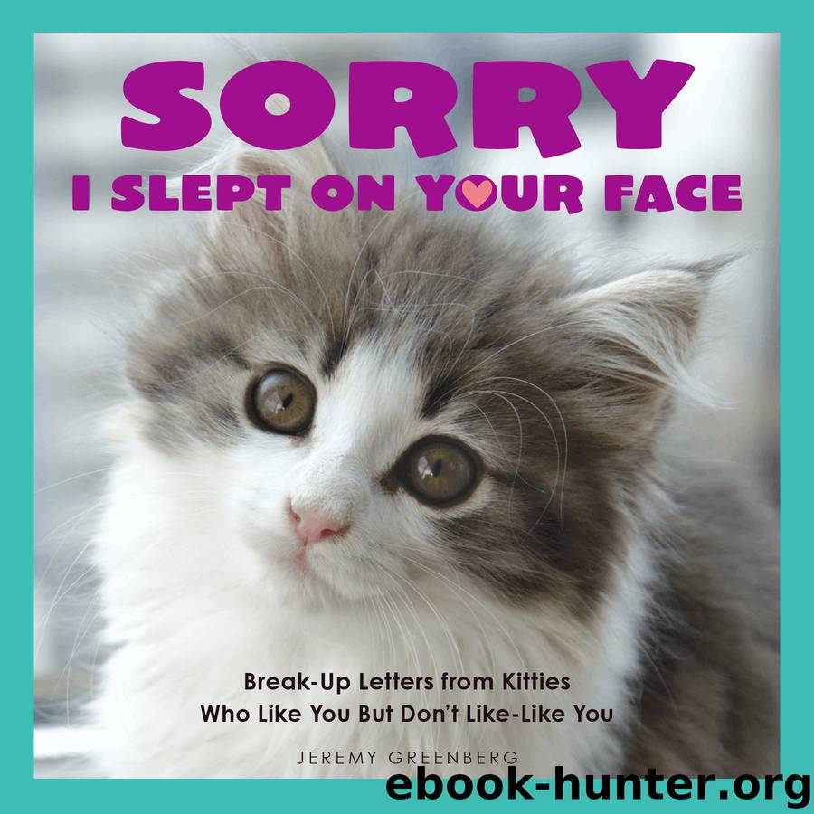 Sorry I Slept on Your Face by Jeremy Greenberg
