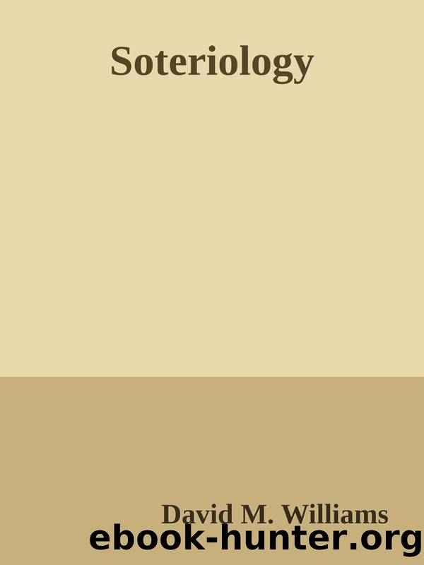 Soteriology by David M. Williams
