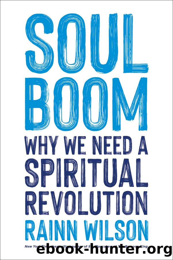 Soul Boom by Rainn Wilson