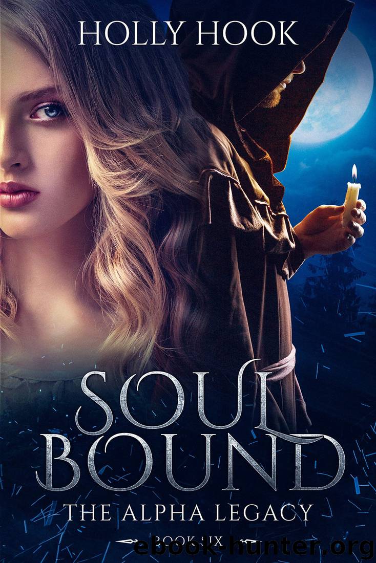 Soul Bound by Holly Hook