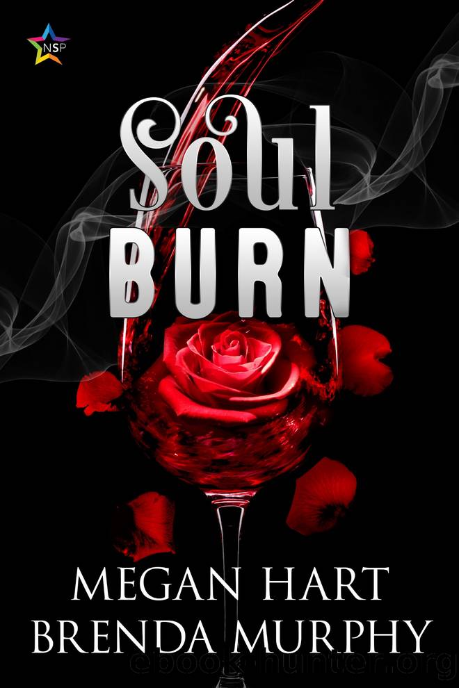 Soul Burn by Brenda Murphy & Megan Hart