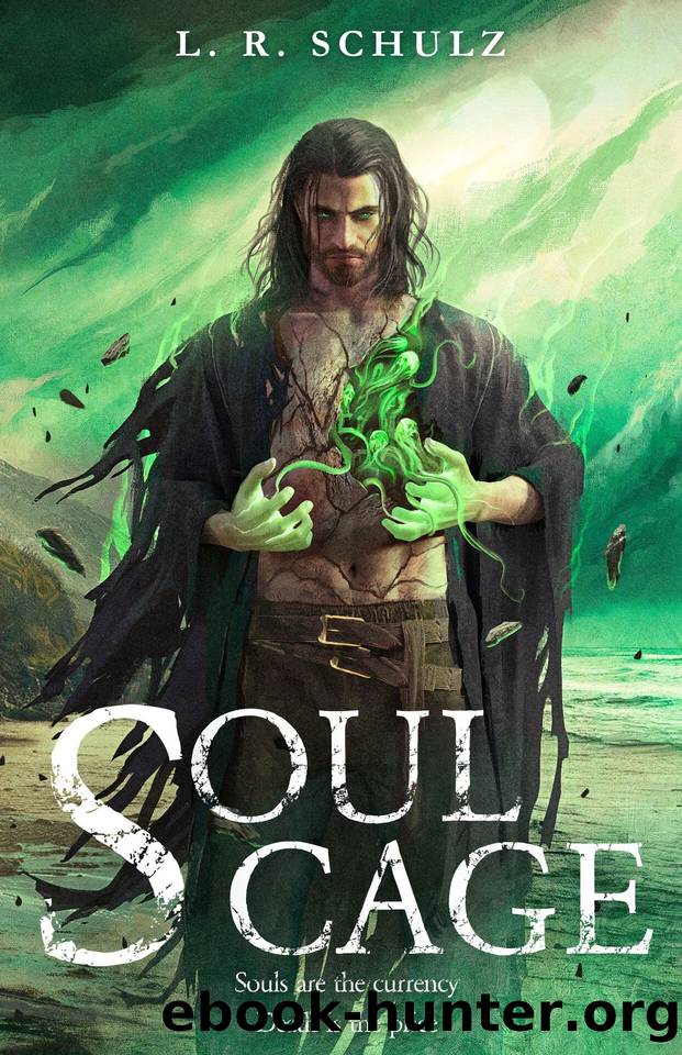 Soul Cage by L. R. SCHULZ