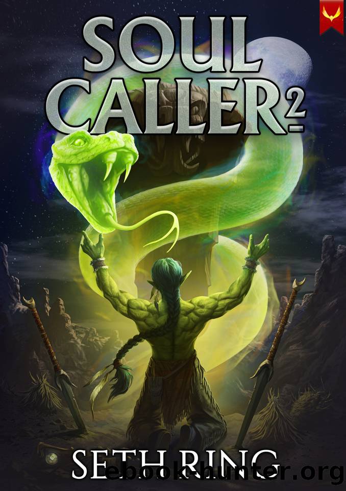 Soul Caller 2: A LitRPG Adventure by Seth Ring