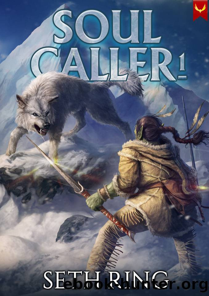 Soul Caller: A LitRPG Adventure by Seth Ring