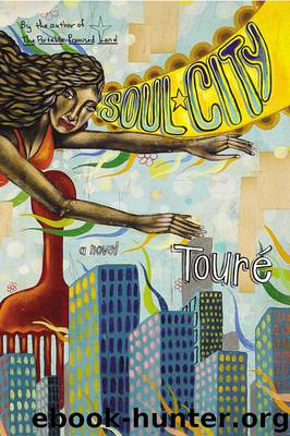 Soul City by Touré