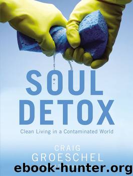 Soul Detox by Craig Groeschel