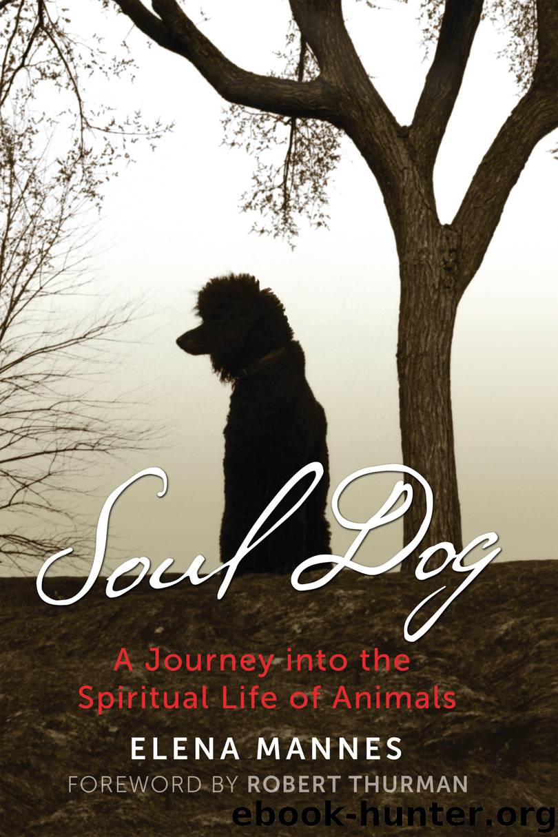 Soul Dog by Elena Mannes