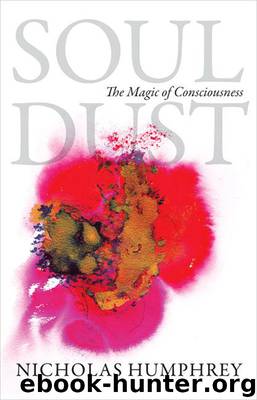 Soul Dust by Humphrey Nicholas