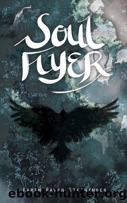 Soul Flyer by Karin Raven Steininger