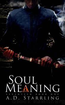 Soul Meaning (Seventeen) by AD Starrling