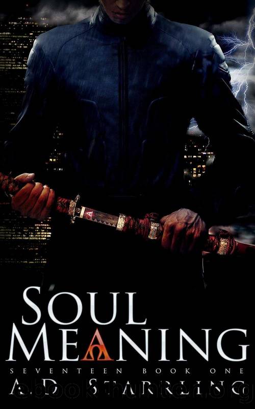 Soul Meaning by A. D. Starrling