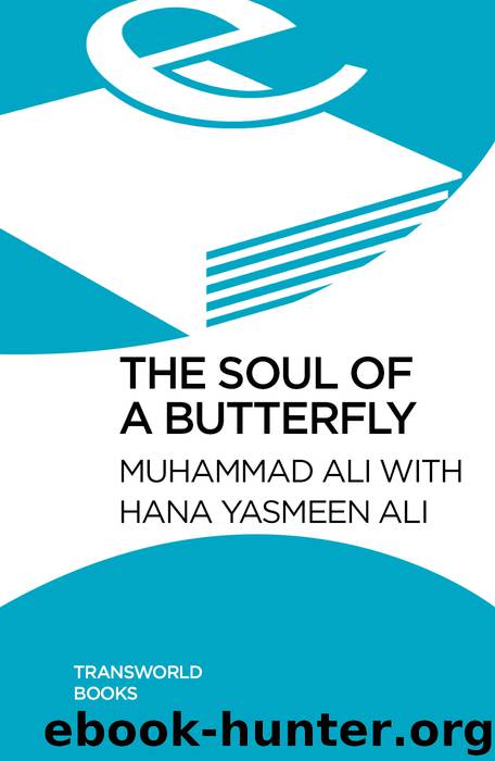 Soul Of A Butterfly by Ali Hana Yasmeen