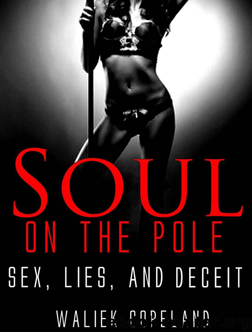 Soul On The Pole: Sex, Lies, and Deceit by Unknown