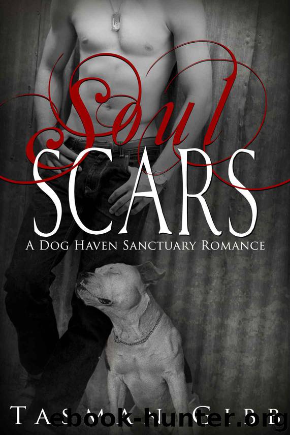 Soul Scars (Dog Haven Sanctuary Romance) by Tasman Gibb
