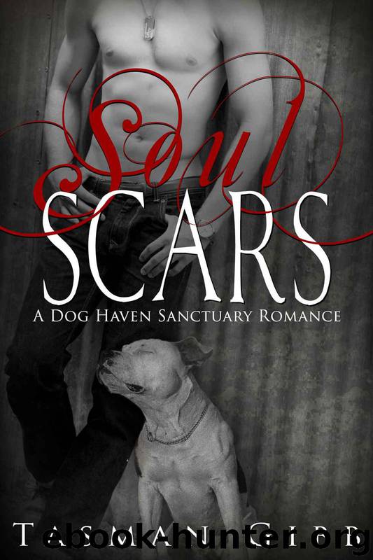 Soul Scars by Tasman Gibb