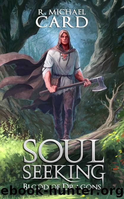 Soul Seeking by R Michael Card