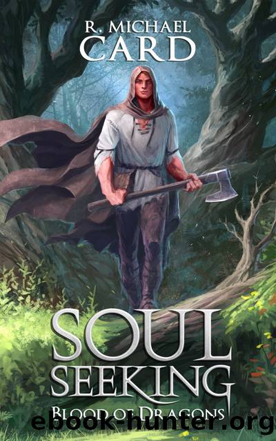 Soul Seeking by R. Michael Card
