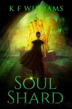 Soul Shard by Kay Williams