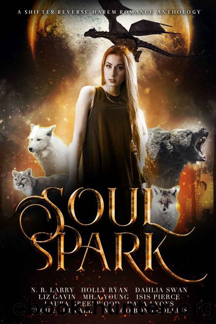 Soul Spark by unknow