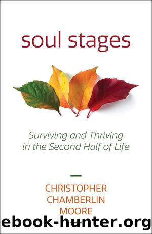 Soul Stages by Christopher Chamberlin Moore