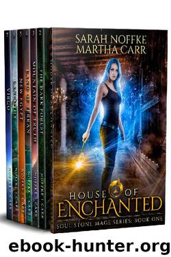 Soul Stone Mage Complete Collection Boxed Set by Sarah Noffke & Martha Carr