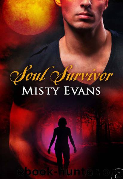 Soul Survivor by Misty Evans