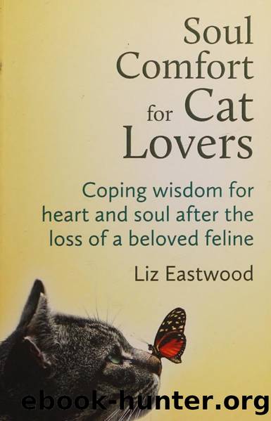 Soul comfort for cat lovers : coping wisdom for heart and soul after the loss of a beloved feline by Eastwood Liz author