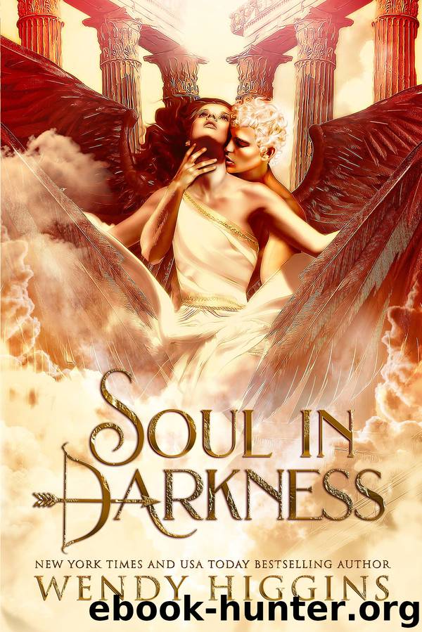 Soul in Darkness by Wendy Higgins