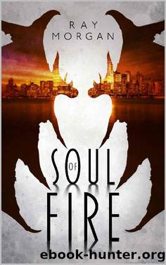 Soul of Fire by Ray Morgan