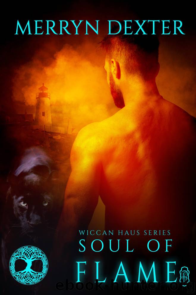 Soul of Flame by Merryn Dexter