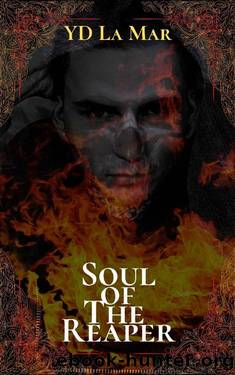 Soul of The Reaper: A Dark Monster sequel (Soul Taker series Book 2) by YD La Mar