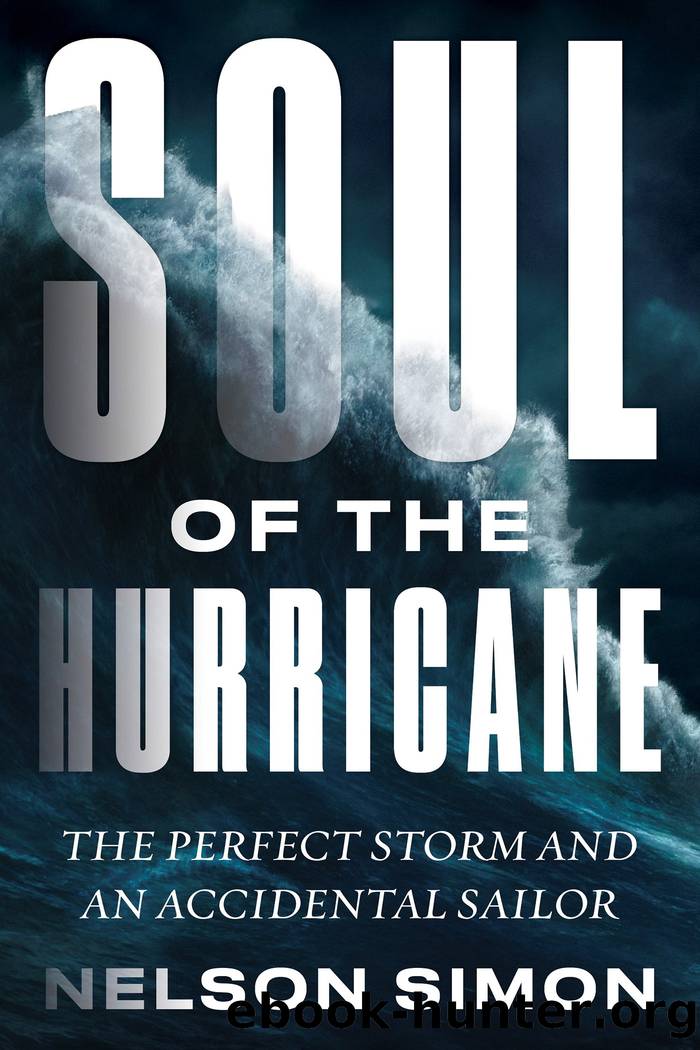 Soul of the Hurricane by Nelson Simon