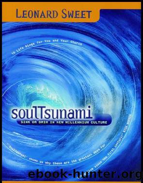 SoulTsunami by Leonard Sweet