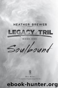 Soulbound by Heather Brewer