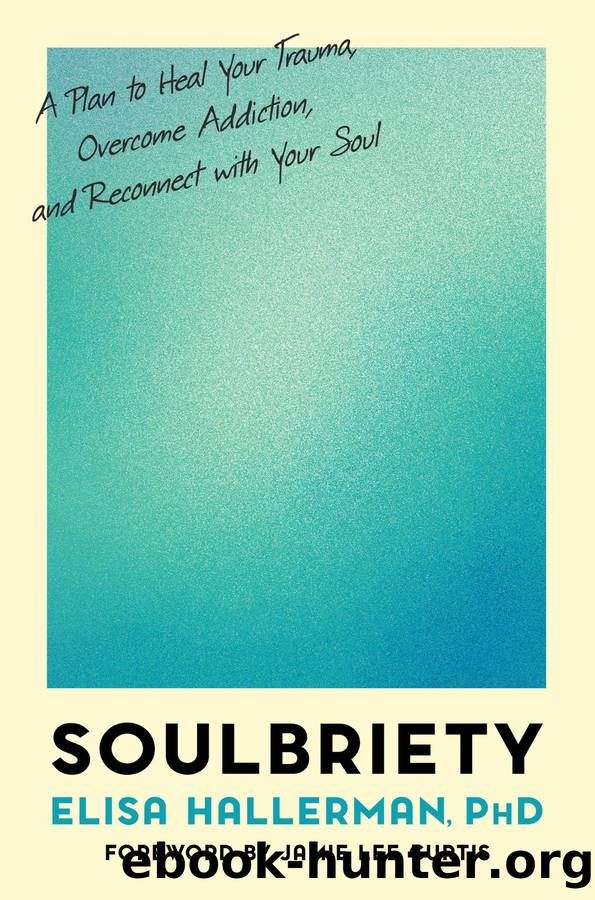Soulbriety by Elisa Hallerman