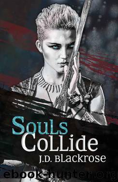 Souls Collide: Book 1 of The Soul Wars by J.D. Blackrose