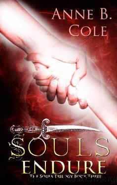 Souls Endure (The Souls Trilogy Book 3) by Anne B. Cole