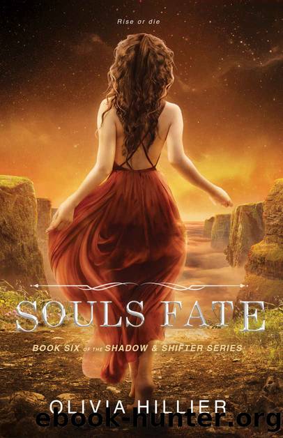 Souls Fate: Book Six of the Shadow & Shifter Series (A Young Adult Paranormal Romance) by Olivia Hillier
