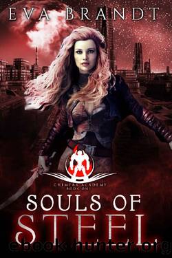 Souls of Steel_A Reverse Harem Sci Fi Bully Romance by Eva Brandt