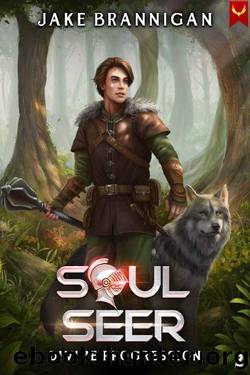 Soulseer: A LitRPG Adventure (Divine Progression Book 2) by Jake Brannigan