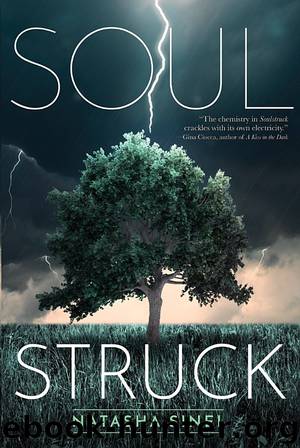Soulstruck by Natasha Sinel