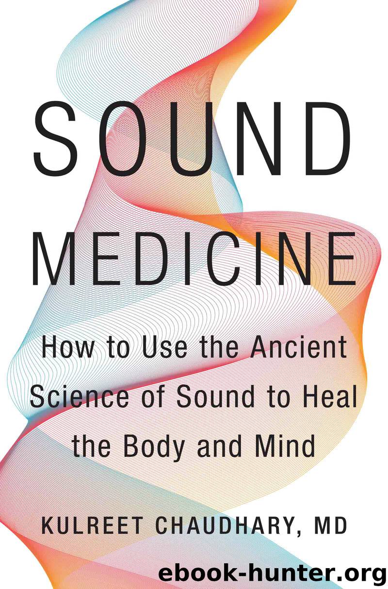 Sound Medicine by Kulreet Chaudhary M.D