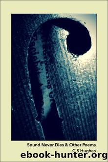Sound Never Dies and Other Poems ePub by C S Hughes