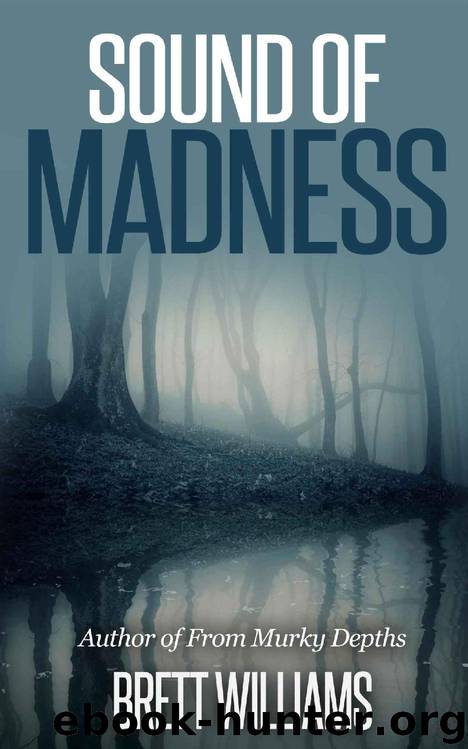 Sound of Madness by Brett Williams
