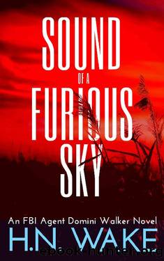 Sound of a Furious Sky by H. N. Wake