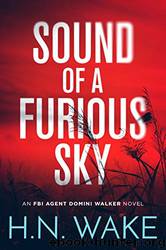 Sound of a Furious Sky by HN Wake