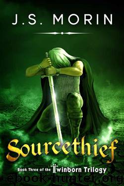 Sourcethief (Book 3) by J.S. Morin