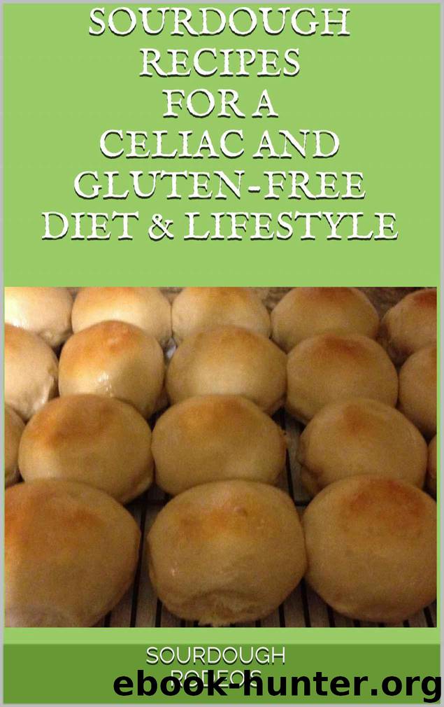 Sourdough Recipes for a Celiac and Gluten-Free Diet & Lifestyle by Lori Williams & Kathy Price