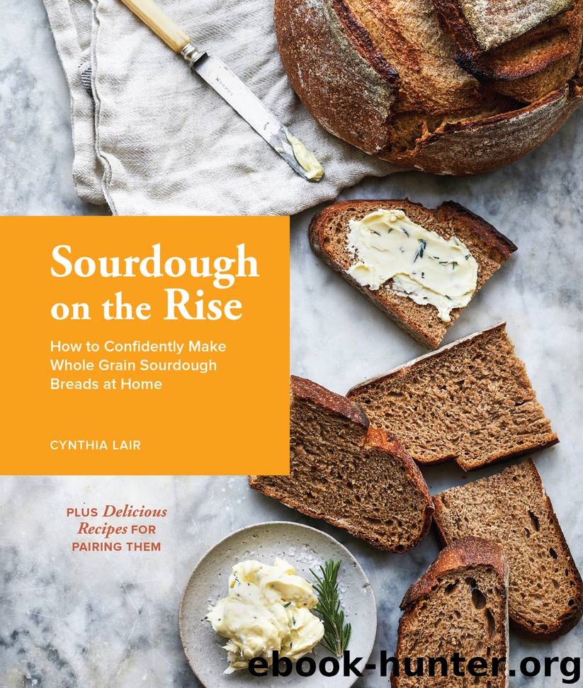Sourdough on the Rise by Cynthia Lair