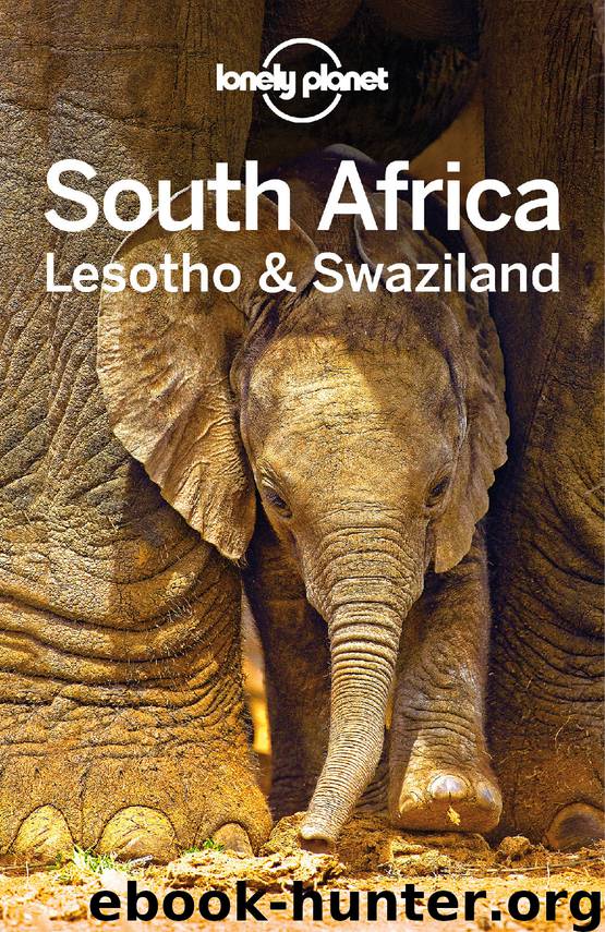South Africa, Lesotho & Swaziland by Lonely Planet